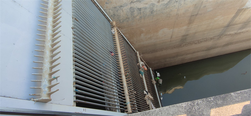 1685603398514146.jpg 01.jpg