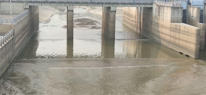 1685603528611812.jpg 08.jpg